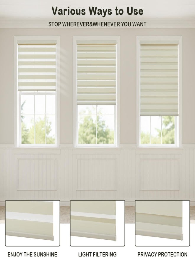 Dephora Cordless Zebra Blinds for Windows,Free-Stop Roller Zebra Shades,Light Filtering Blinds for Indoor windows with Upgraded Cassette,Pull Down Privacy Window Shades for Home (35" W x 72" H, Ivory) - Image 2
